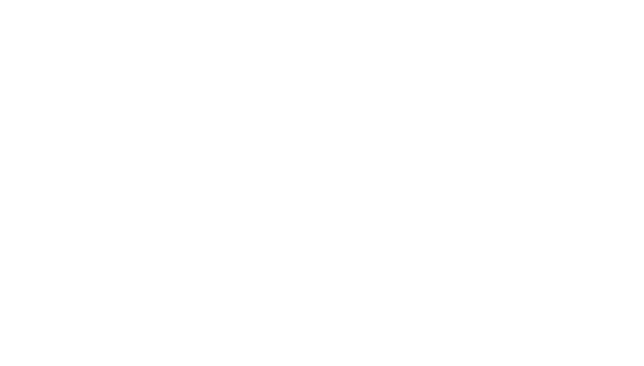 Logo D'Camargo Transportes